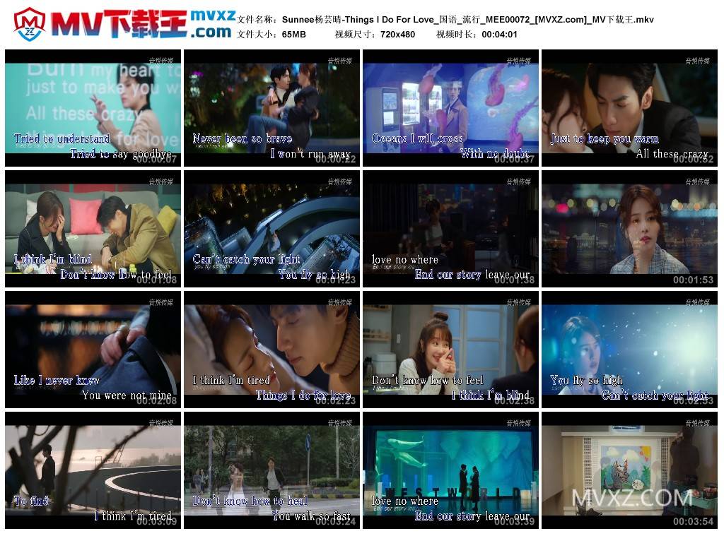 Sunnee杨芸晴-Things I Do For Love_国语_流行_MEE00072